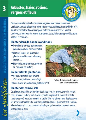 Jardifiche3_arbustes Jardifiche3_arbustes