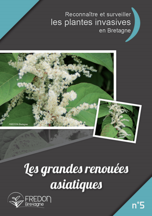 Plaquettes d'information sur les plantes exotiques envahissantes