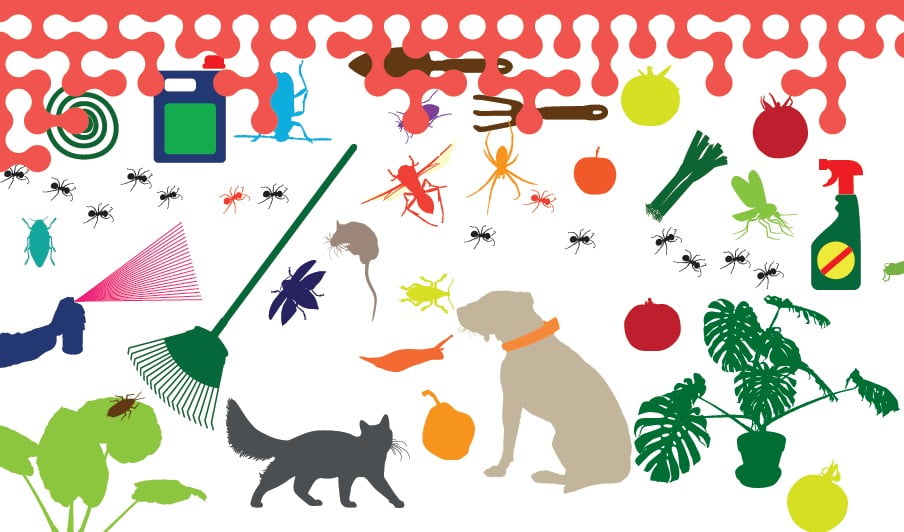 Pesticides Anses_etude-pestihome Pesticides Anses_etude-pestihome