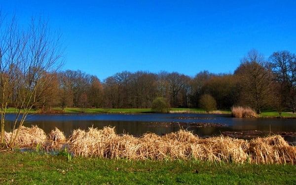 îlots de fraicheur_Parc_des_Gayeulles_de_Rennes îlots de fraicheur_Parc_des_Gayeulles_de_Rennes