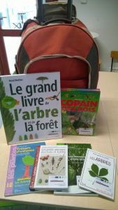 arbres_remarquables_bretagne_kit