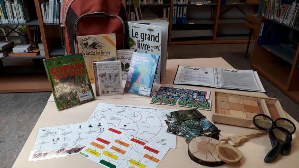 malle kit-arbres malle-remarquons-les-arbres