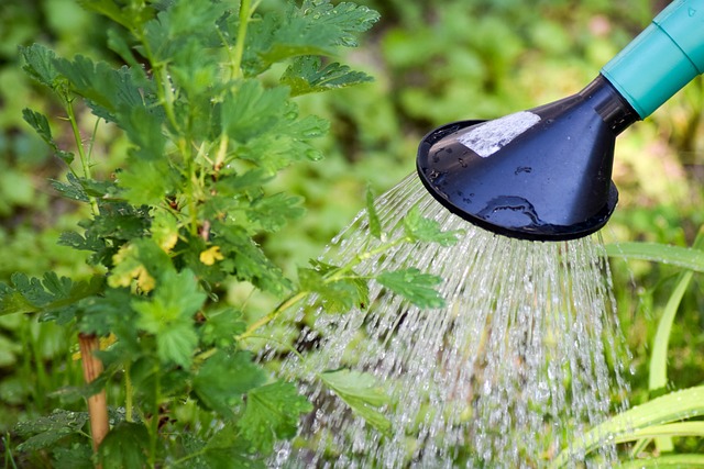 gestion de l’eau arrosoir gestion de l'eau arrosoir