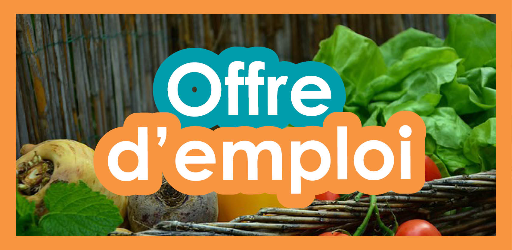 directeur / directrice directeur / directrice