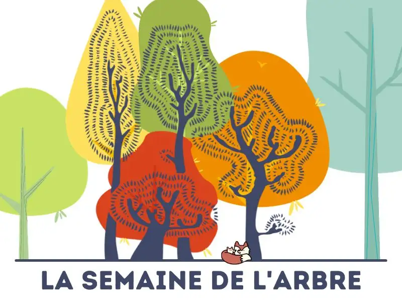 semaine de l'arbre