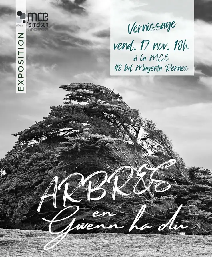 exposition arbres bretons exposition arbres bretons