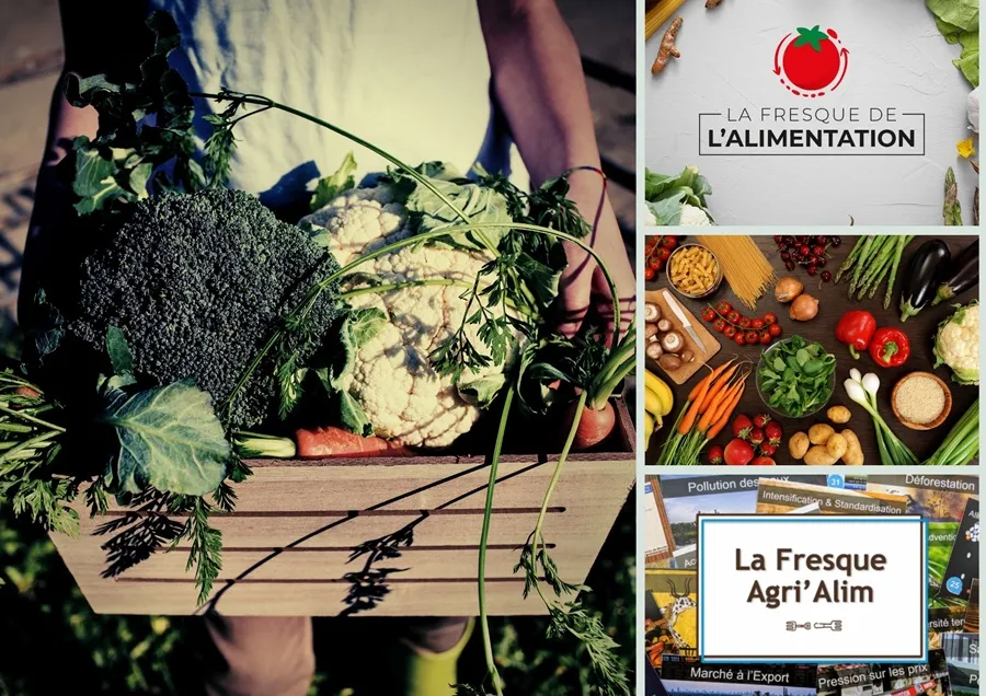 fresques alimentation fresques alimentation