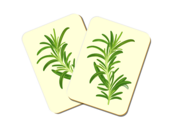 24h-biodiversite 24h-biodiversite