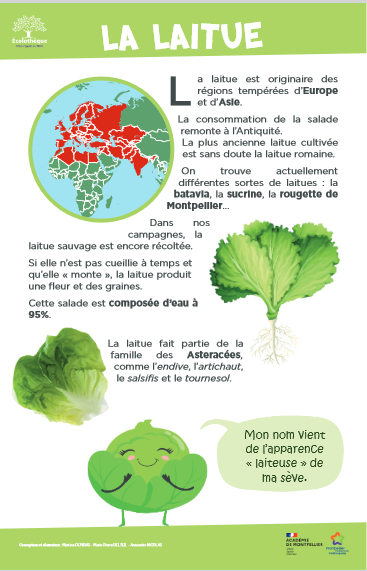 image piste legumes potager3