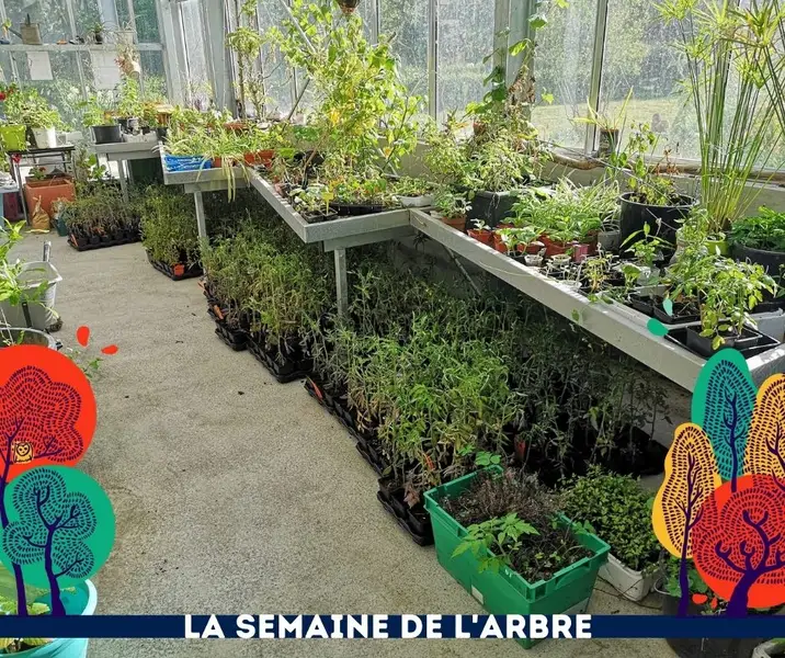 Troc plantes mce