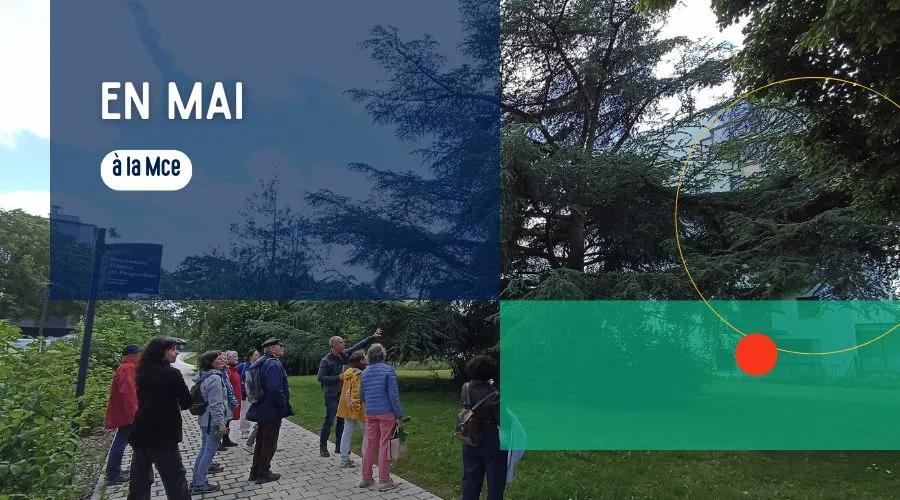 programme-des-associations-mce-mai programme-des-associations-mce-mai
