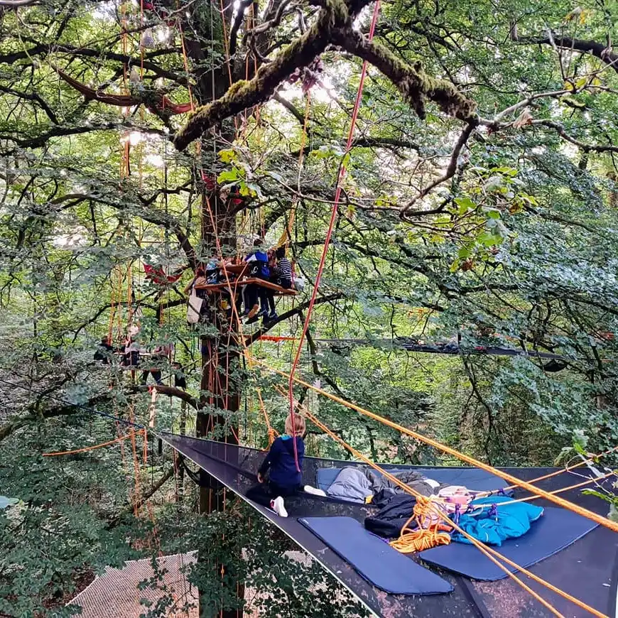 5 semaine arbre 2025
