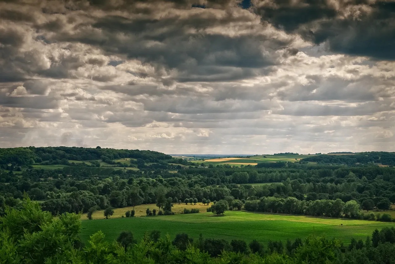 Du remembrement au bocage bien pensé